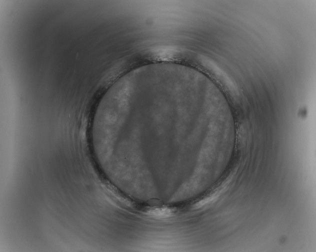 X0000097630217200803211817