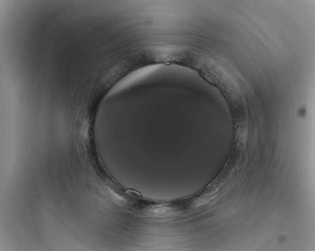 X0000097630219200803211817