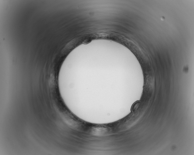 X0000097630220200803211817