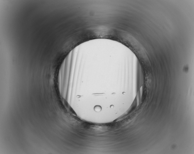 X0000097630221200803211817