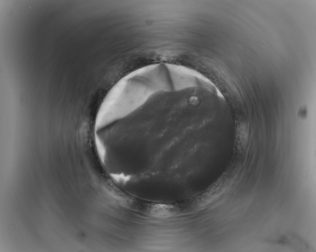 X0000097630222200803211817