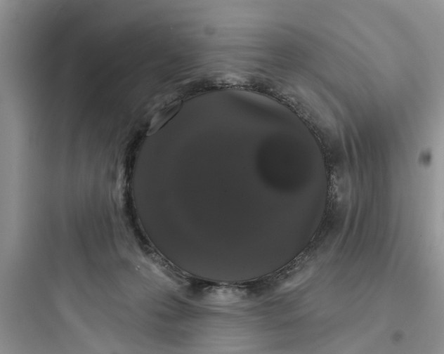 X0000097630223200803211817