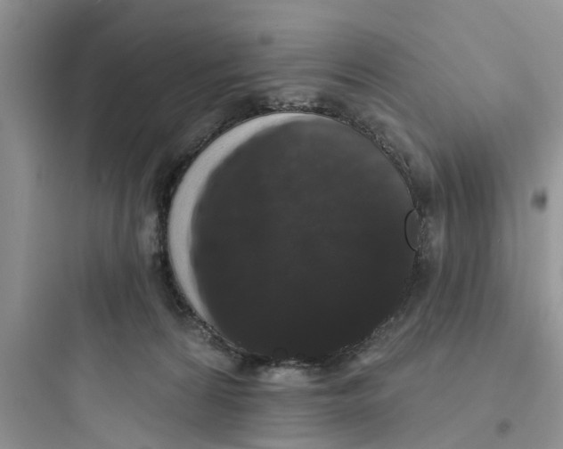 X0000097630224200803211817