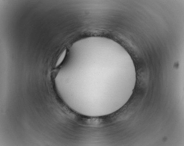 X0000097630225200803211817