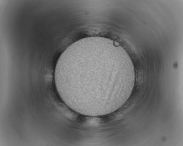 X0000097630226200803211817