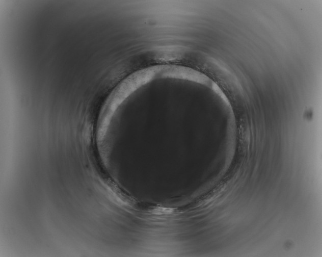 X0000097630227200803211817