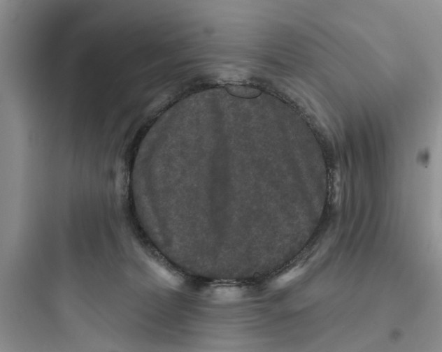 X0000097630228200803211817