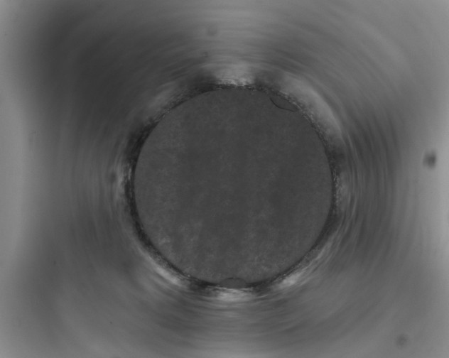 X0000097630229200803211817