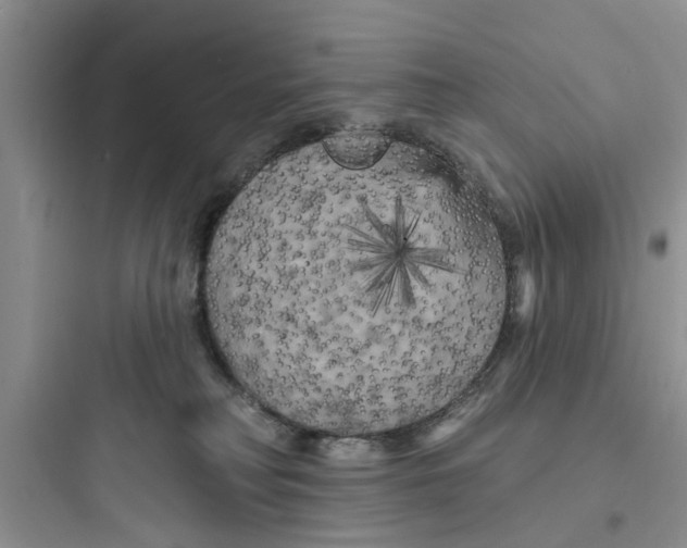 X0000097630230200803211817