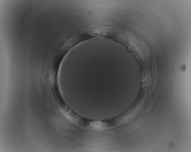 X0000097630231200803211817