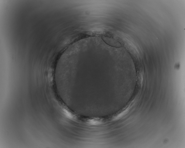 X0000097630232200803211817