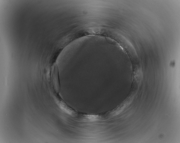 X0000097630233200803211817