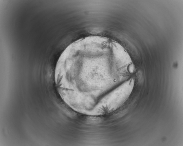 X0000097630234200803211817