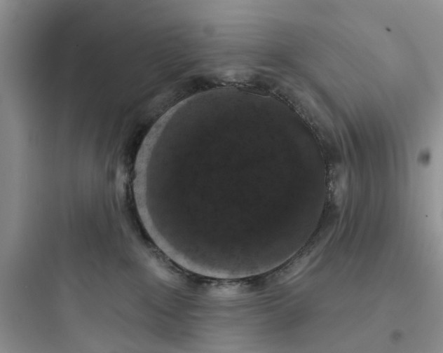 X0000097630235200803211817