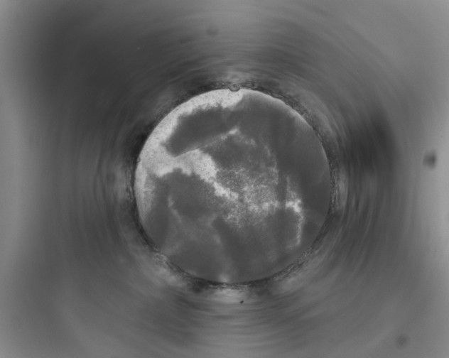 X0000097630236200803211817