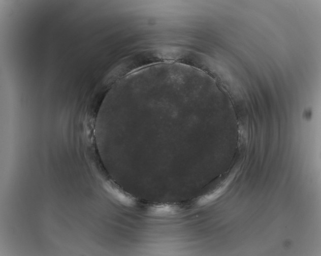 X0000097630237200803211817