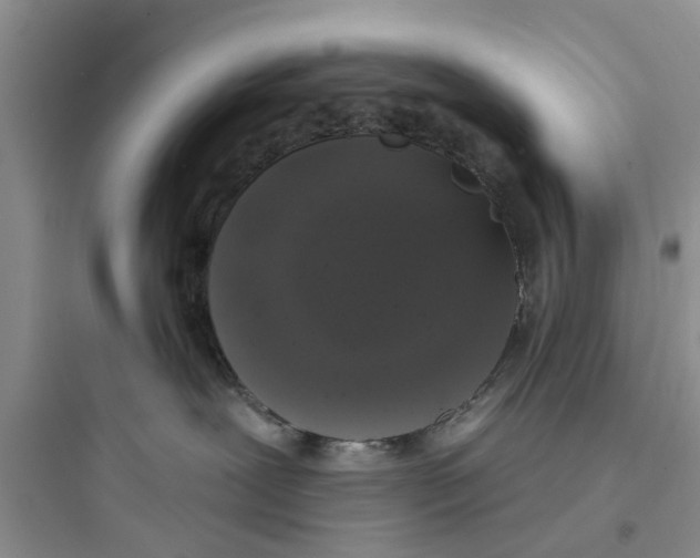 X0000097630239200803211817