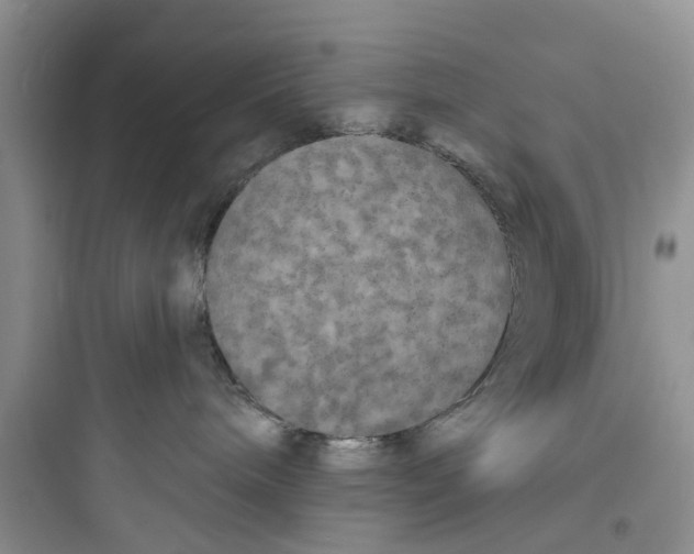 X0000097630240200803211817