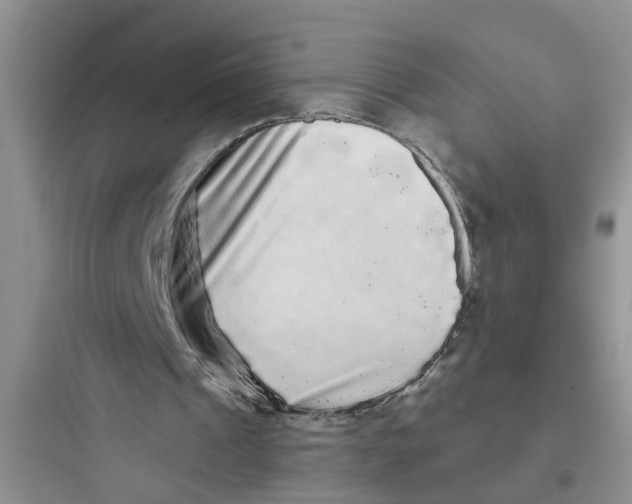 X0000097630241200803211816