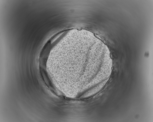 X0000097630242200803211816