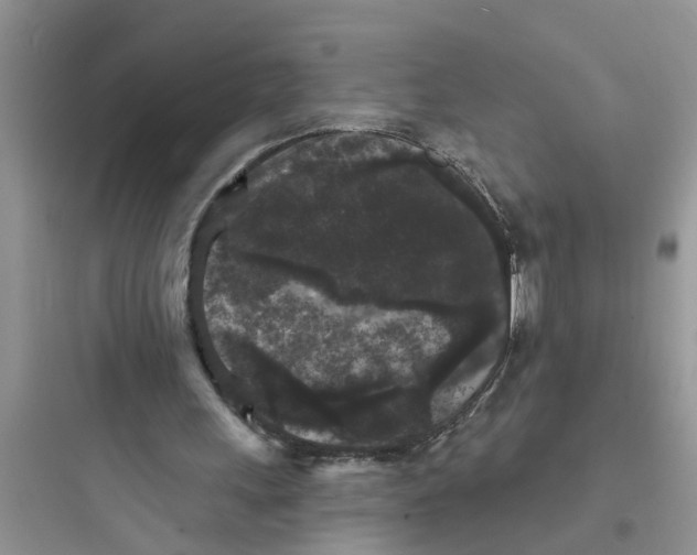 X0000097630243200803211816