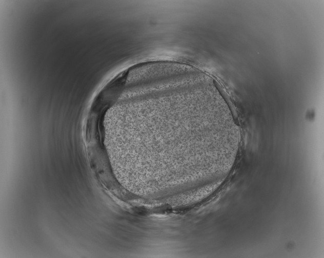 X0000097630244200803211816