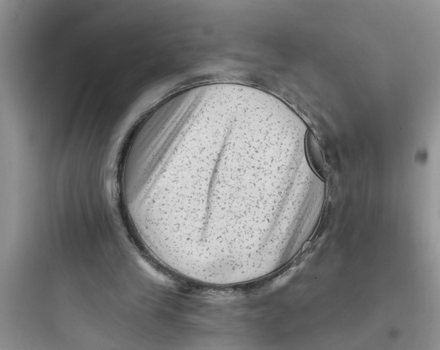 X0000097630245200803211816