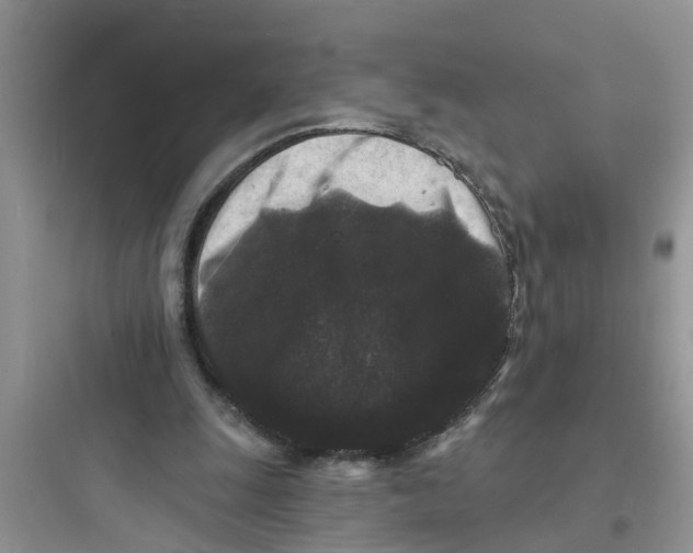 X0000097630247200803211816