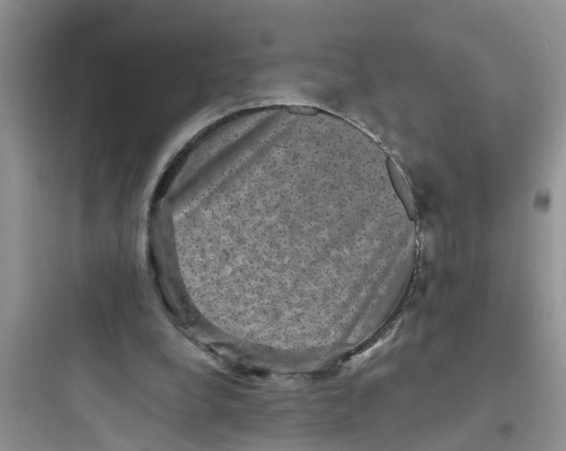 X0000097630248200803211816