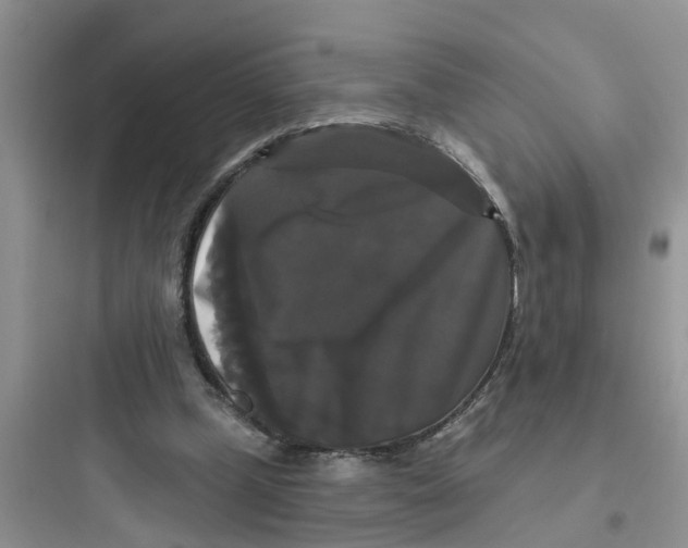 X0000097630249200803211816