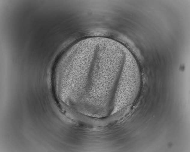 X0000097630250200803211816