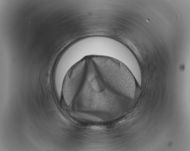 X0000097630251200803211816