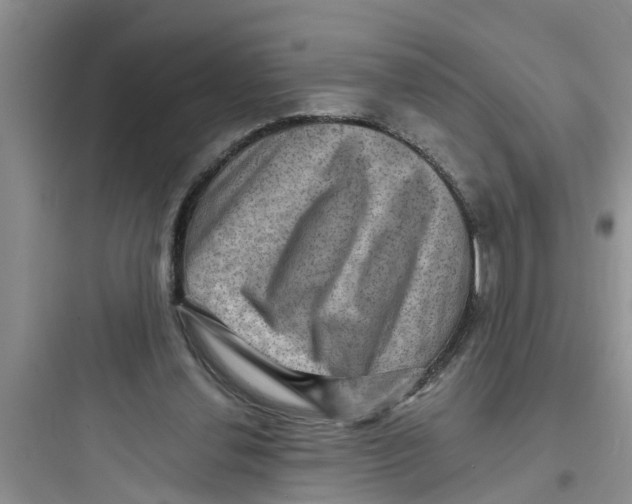 X0000097630252200803211816