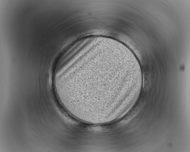 X0000097630253200803211816