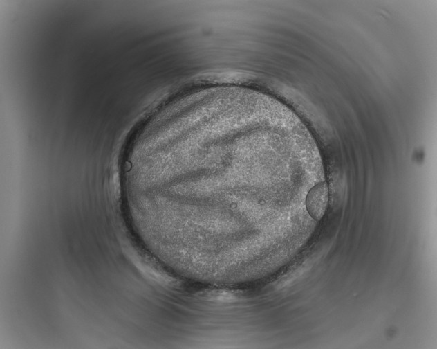 X0000097630254200803211816