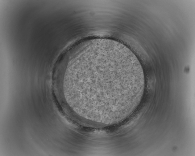 X0000097630256200803211816