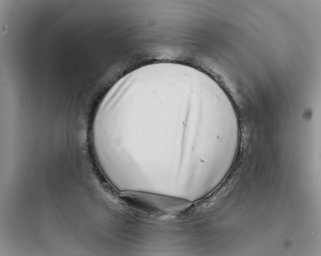 X0000097630257200803211816