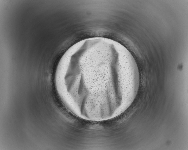 X0000097630258200803211816