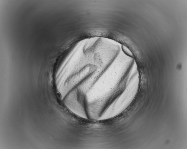 X0000097630259200803211816