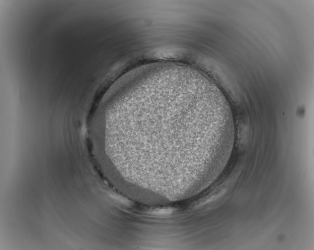 X0000097630260200803211816