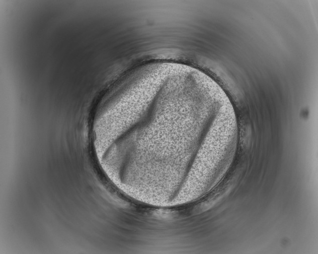 X0000097630261200803211816