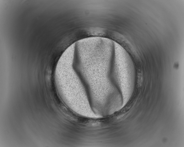 X0000097630263200803211816