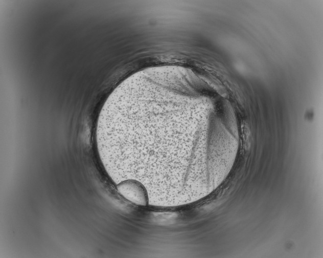 X0000097630266200803211816