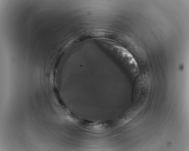 X0000097630267200803211816