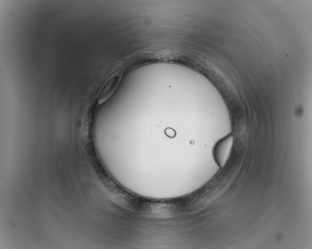 X0000097630268200803211816