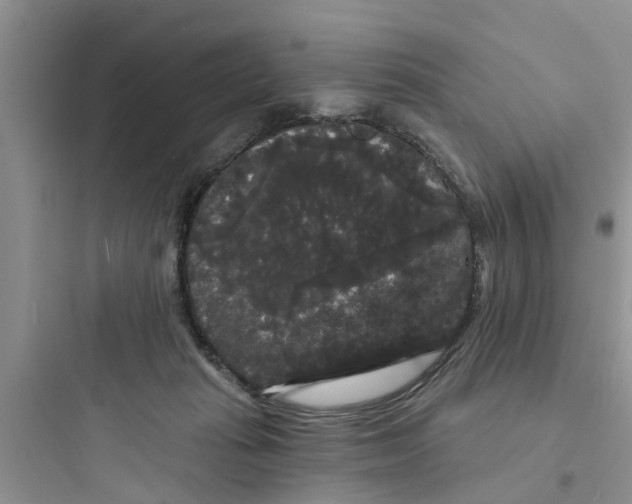 X0000097630269200803211816