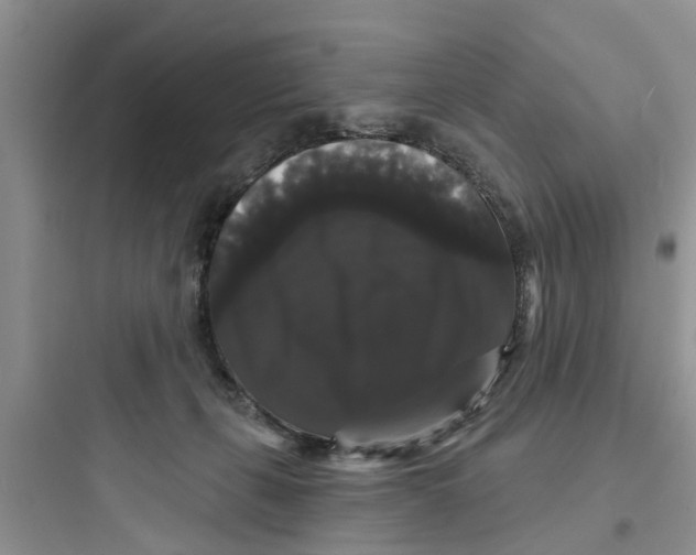 X0000097630271200803211816