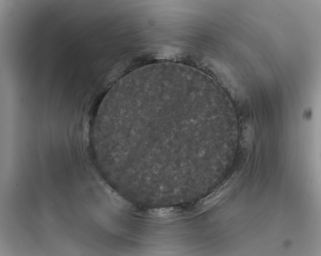 X0000097630273200803211816