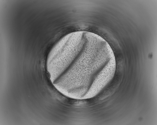 X0000097630274200803211816