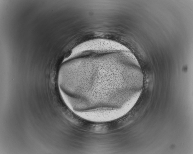 X0000097630275200803211816